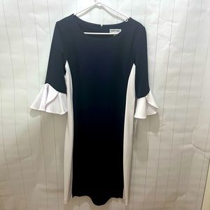 Shelby & Palmer Dress